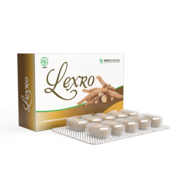 Lexro - Gambar 2
